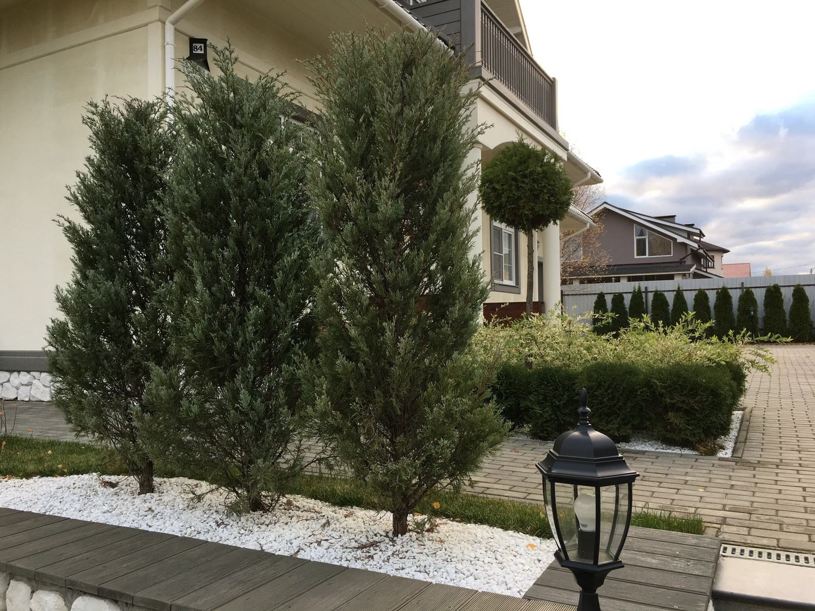 Сад "в процессе..."