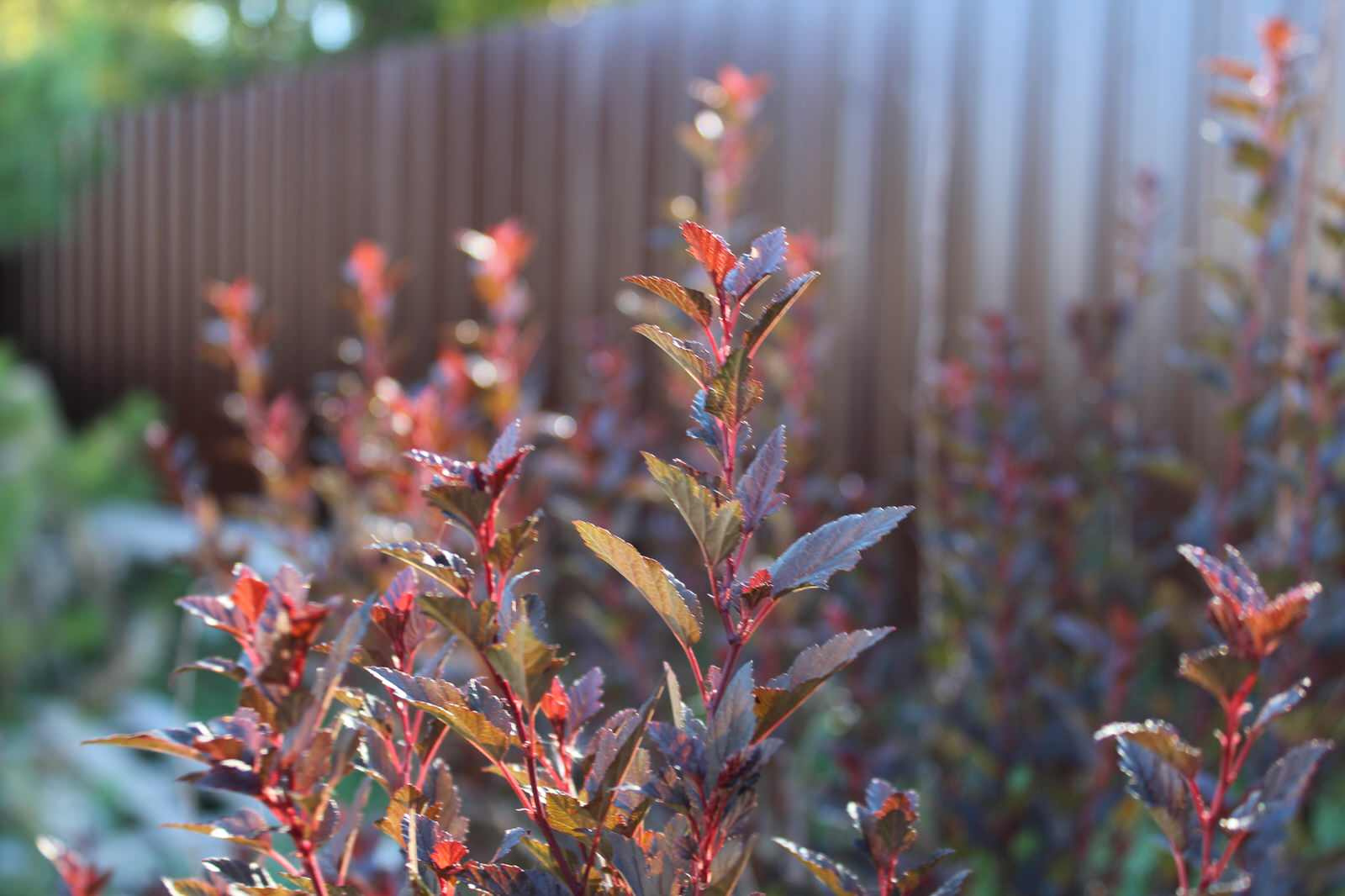 Уютный минимализм