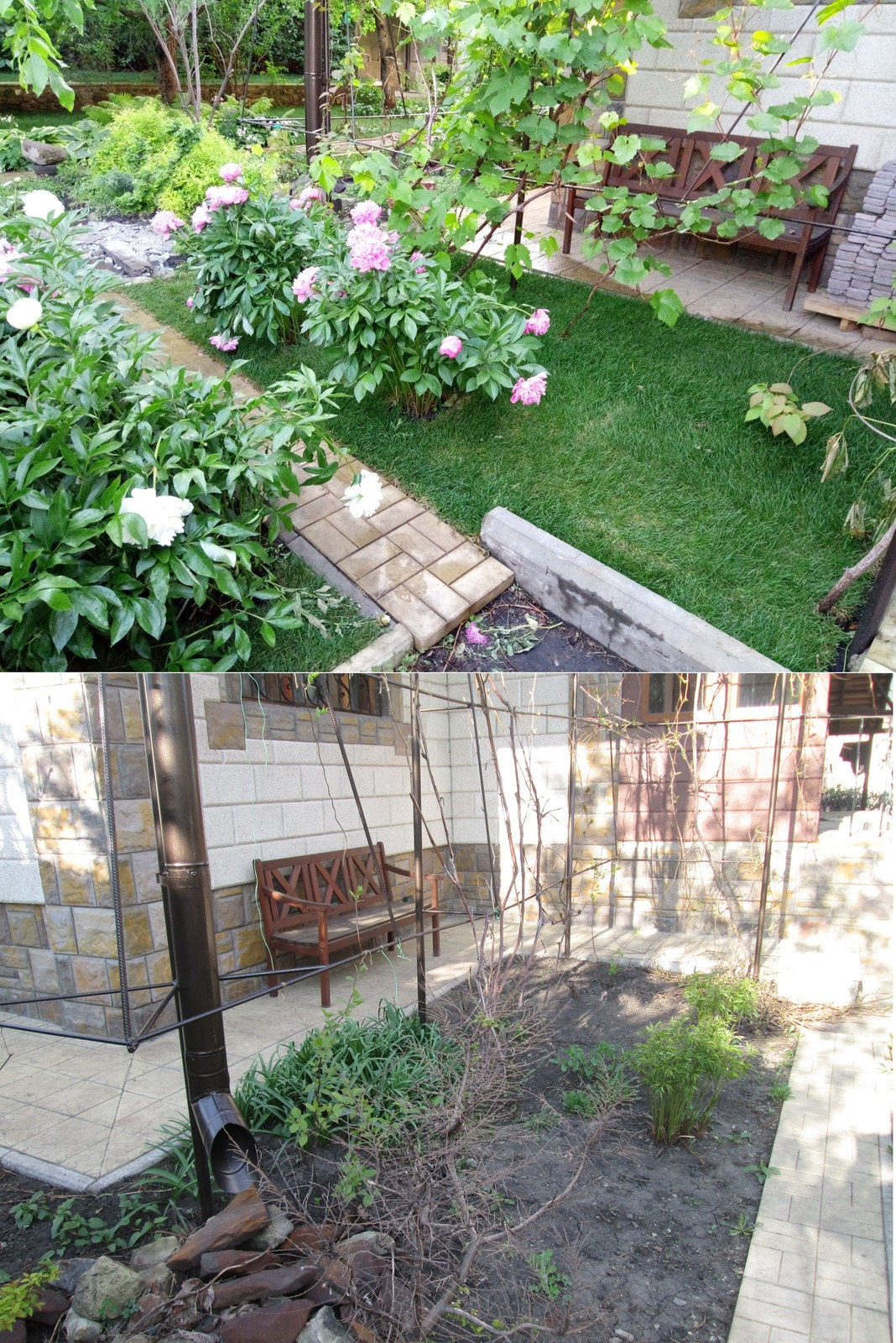 Ландшафтный дизайн с максимальным сохранением существующих насаждений