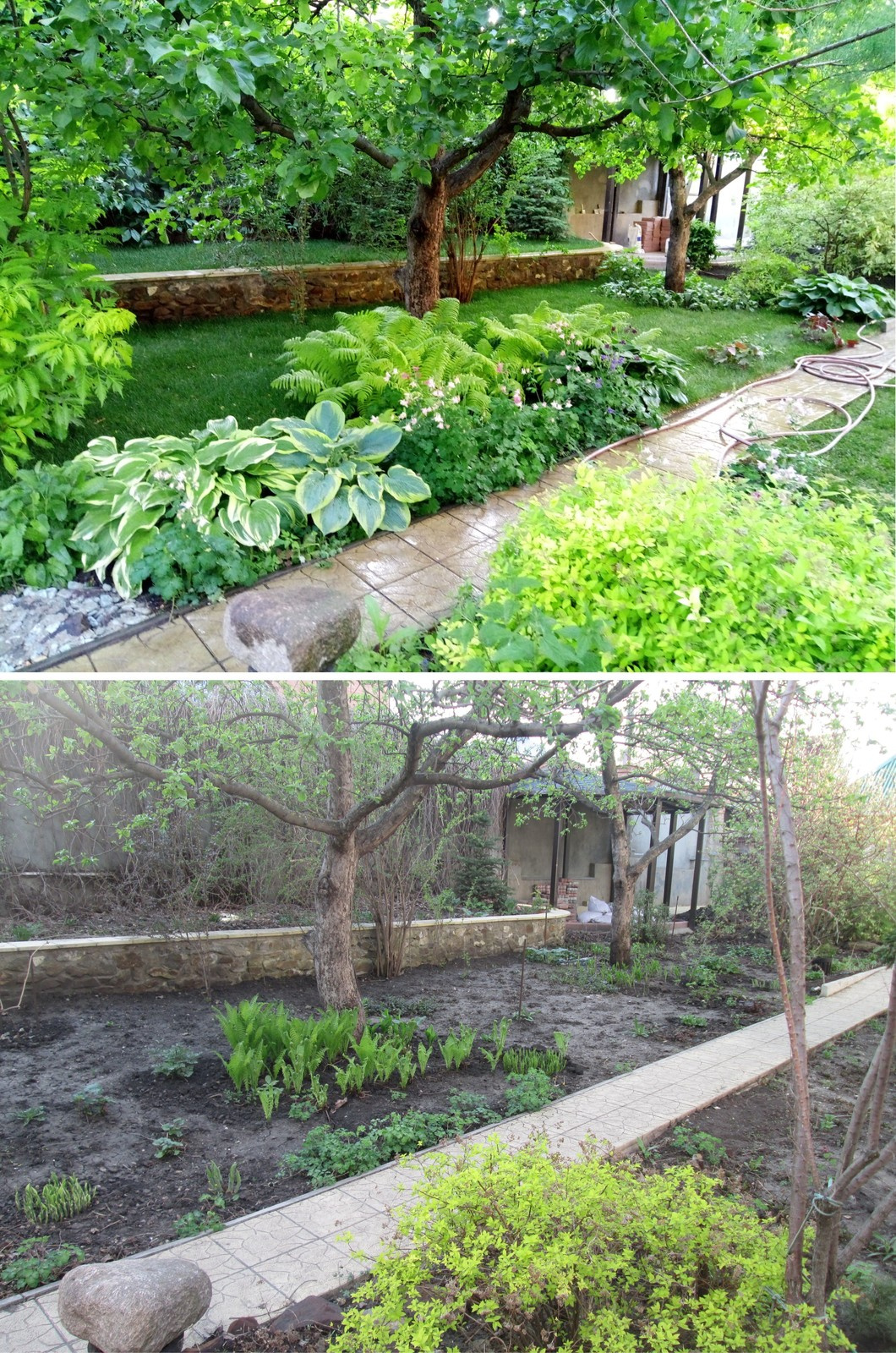 Ландшафтный дизайн с максимальным сохранением существующих насаждений