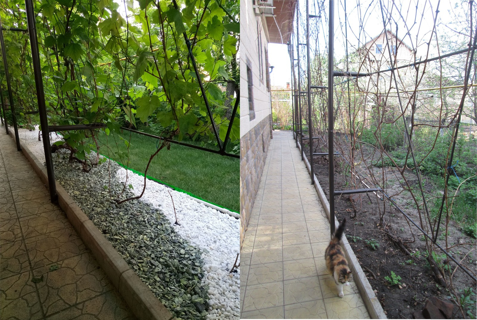 Ландшафтный дизайн с максимальным сохранением существующих насаждений