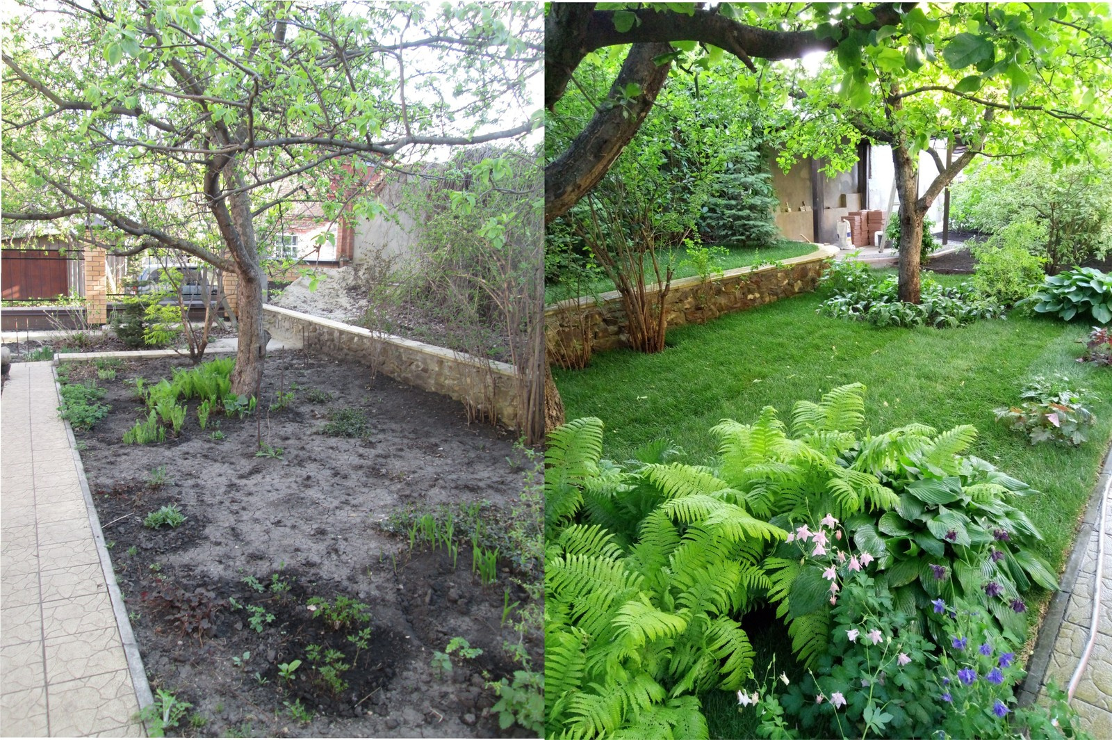 Ландшафтный дизайн с максимальным сохранением существующих насаждений