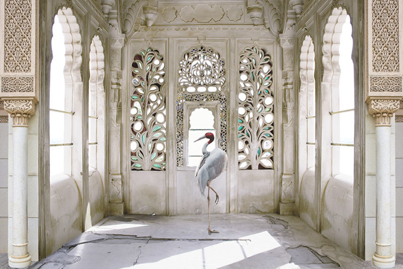 Тренды "Марракеш"