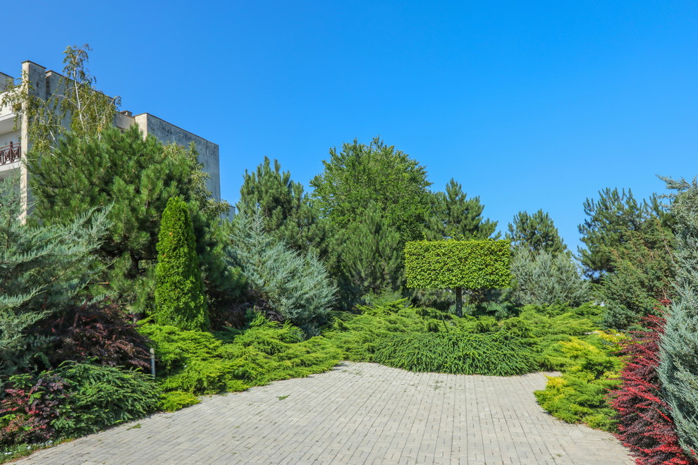 Съемка санатория "Черноморец"