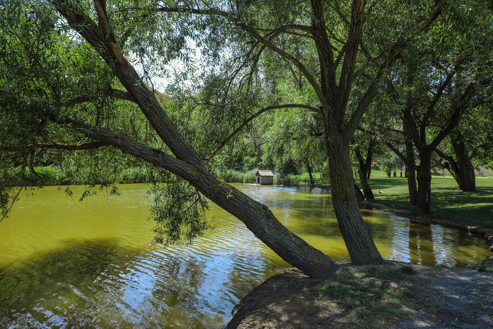 Съемка санатория "Черноморец"