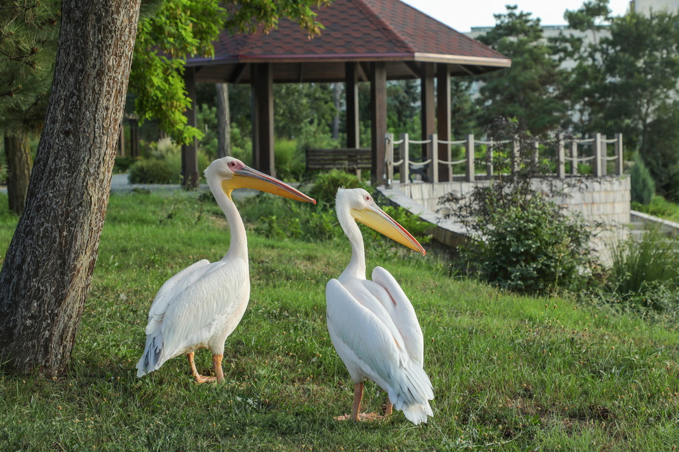 Съемка санатория "Черноморец"