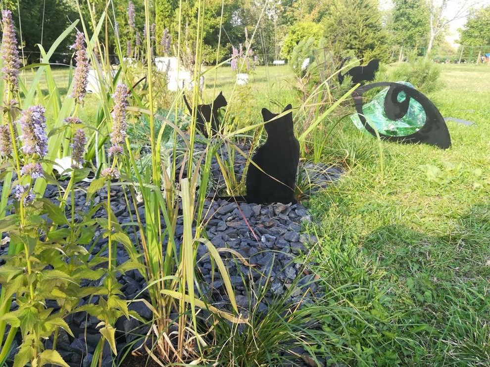 САД «НАЙДИ КОТА» НА ФЕСТИВАЛЕ ИСТОРИЧЕСКИХ САДОВ В ЦАРИЦЫНО.