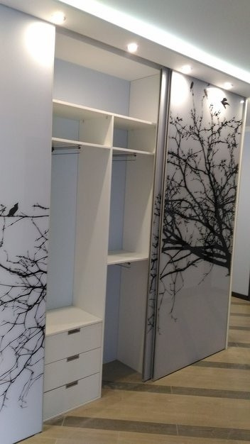 Встроенный шкаф-купе