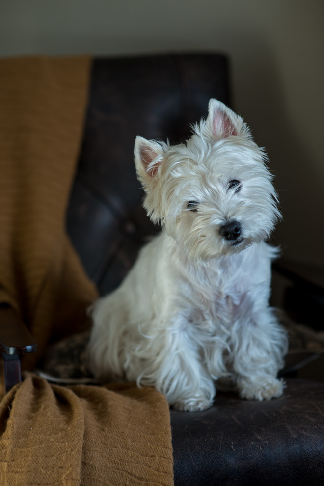 Перемены к лучшему