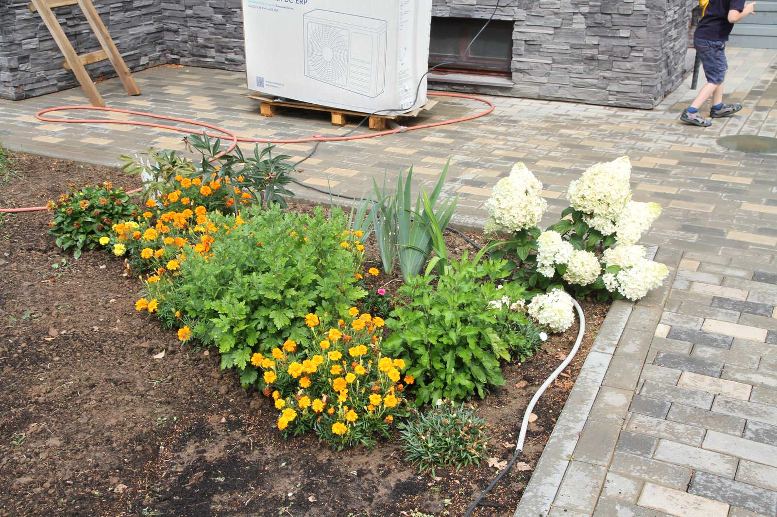 Участок 25 соток, КП Четыре Сезона. От проекта до реализации