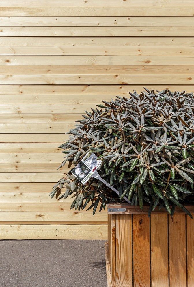 Павильон + внутренний двор