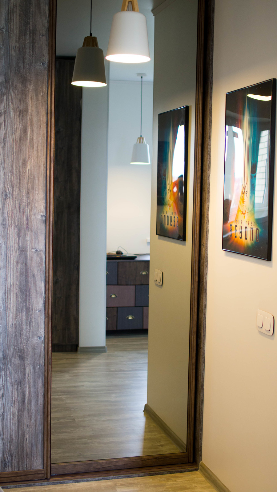 Lakoner в интерьере_двери-купе