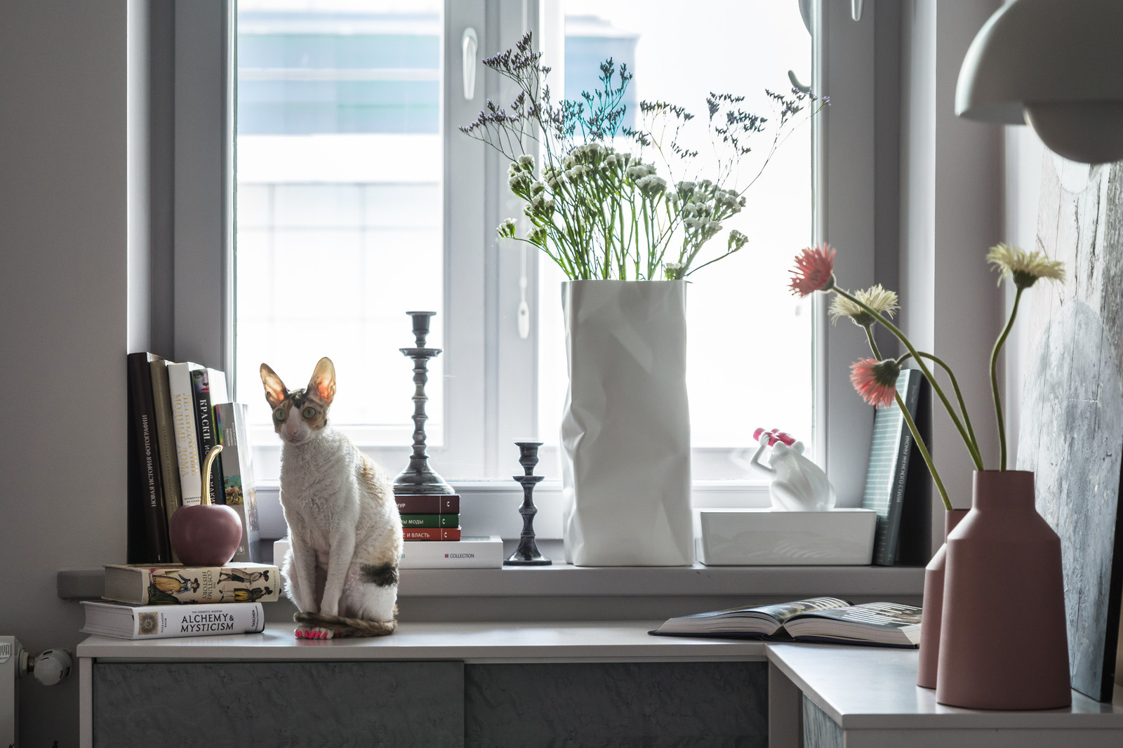 Квартира в центре Новосибирска.