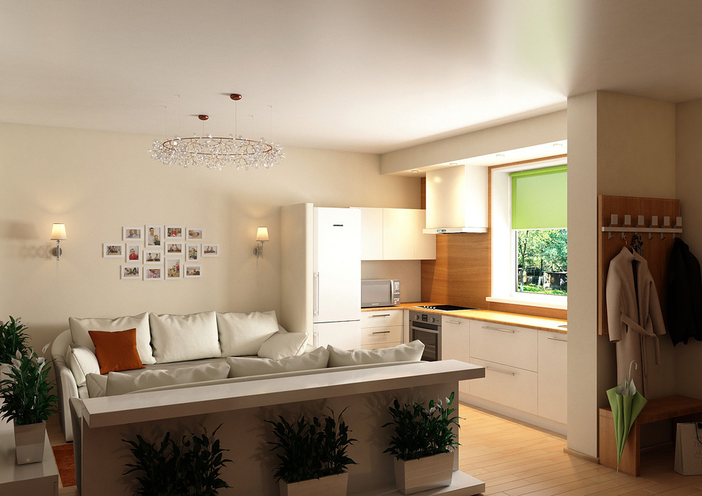 Гостиная с кухней для молодой семьи