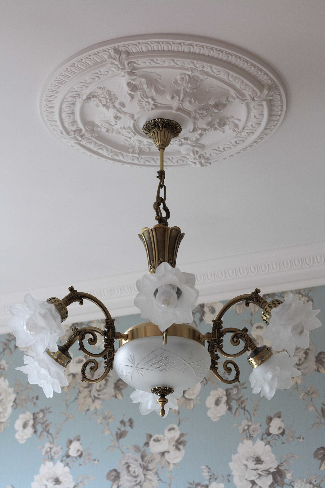 Сосны Николина гора 2