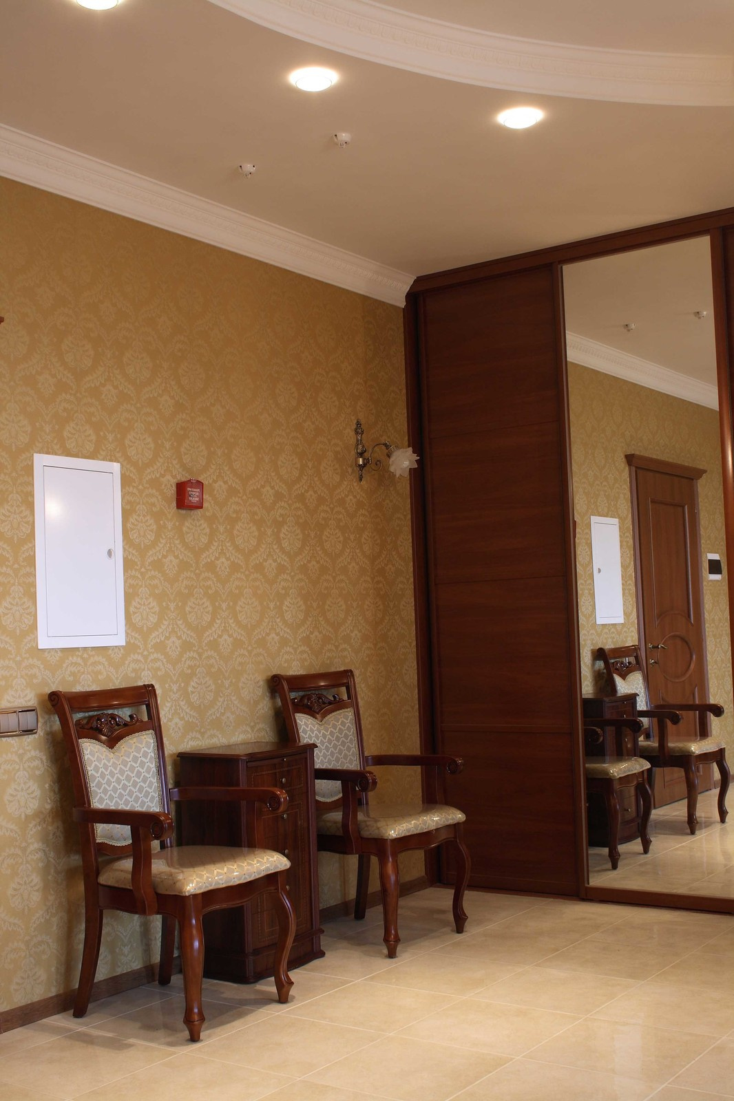 Сосны Николина гора 2