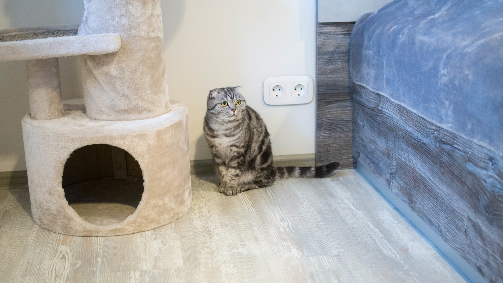 Lakoner в интерьере_Жилая комната