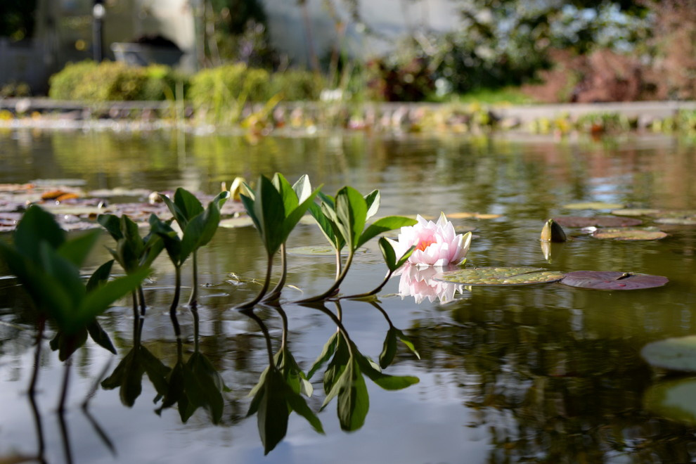 Участок в Ломоносовском районе Ленобласти