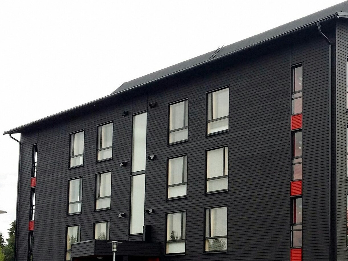 Экстерьер. Покрашенные объекты