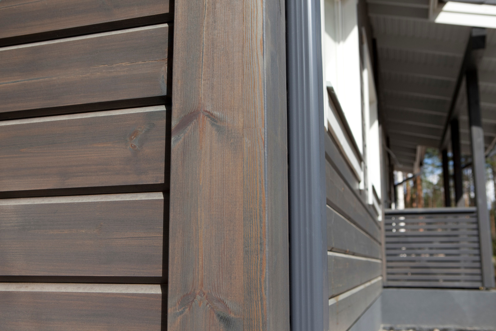 Экстерьер. Покрашенные объекты