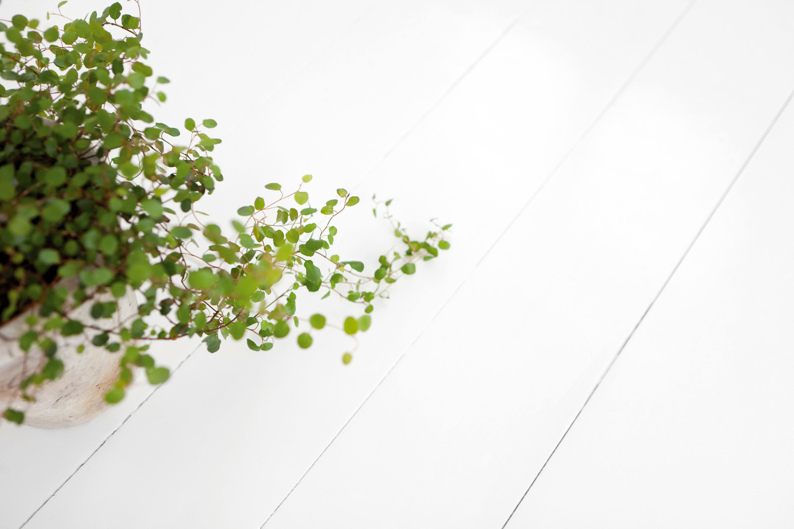 Интерьер. Покрашенные объекты