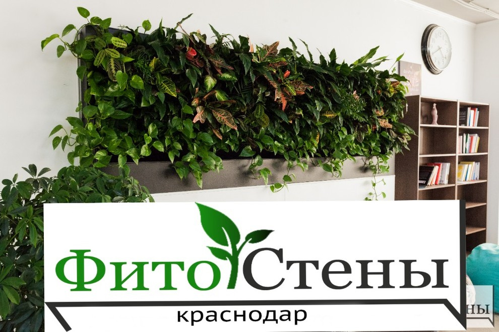 Новенькие реализованные проекты