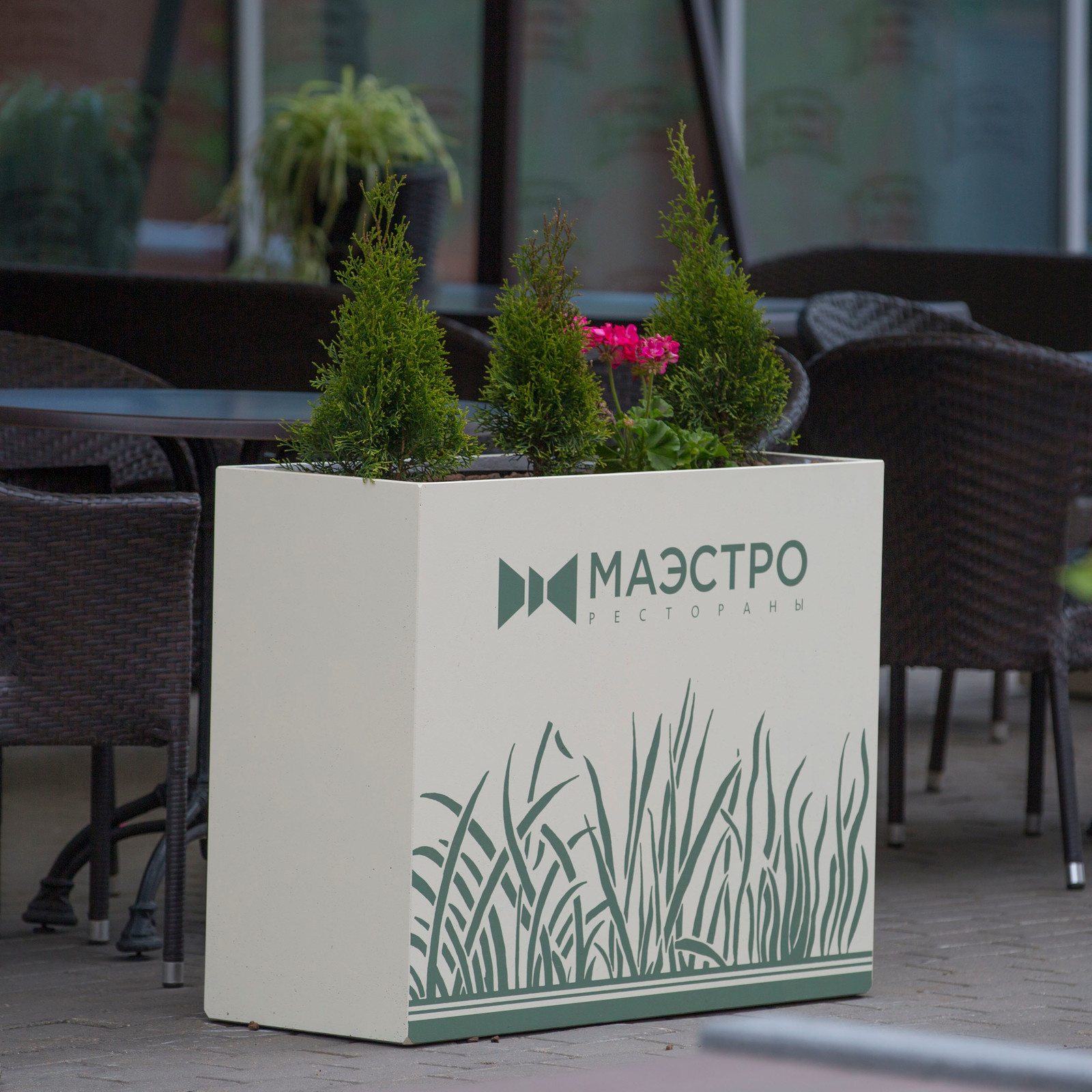 Вазоны и кашпо