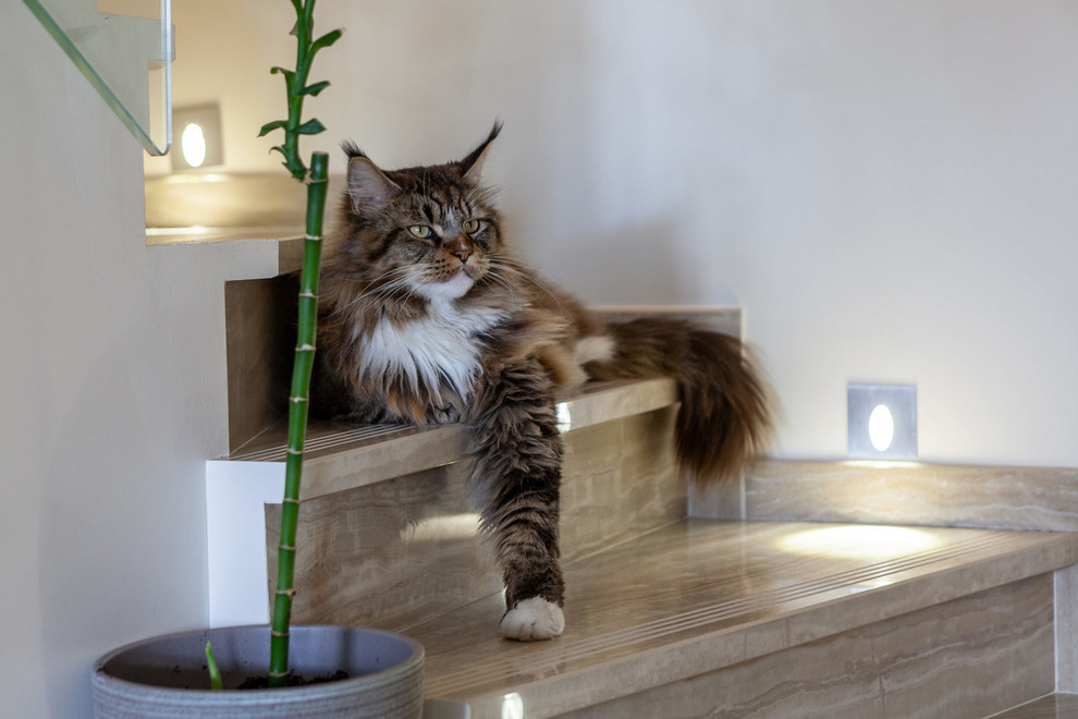 Таунхаус в ЖК Кронбург