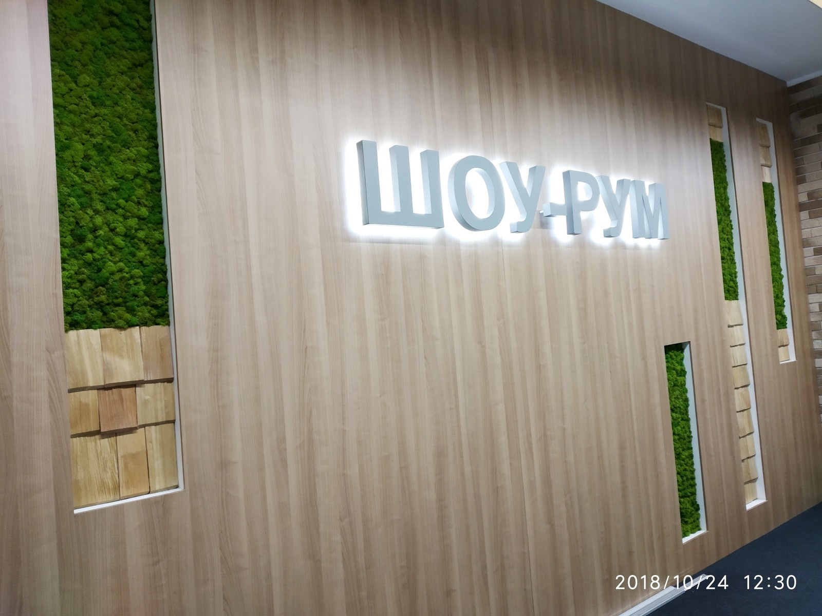 Декоративные элементы со стабилизированным мхом в скандинавском стиле. Showroom