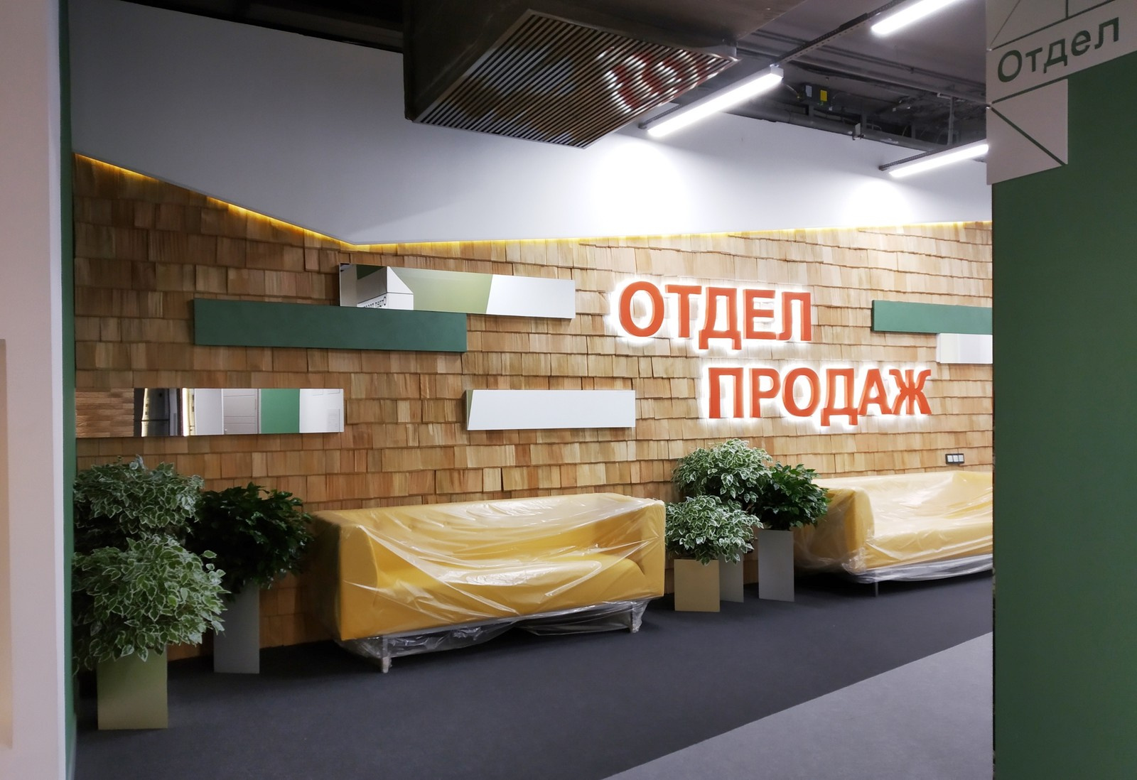 Кустарники фикуса в наших треугольных дизайнерских кашпо. Showroom СК Арбан