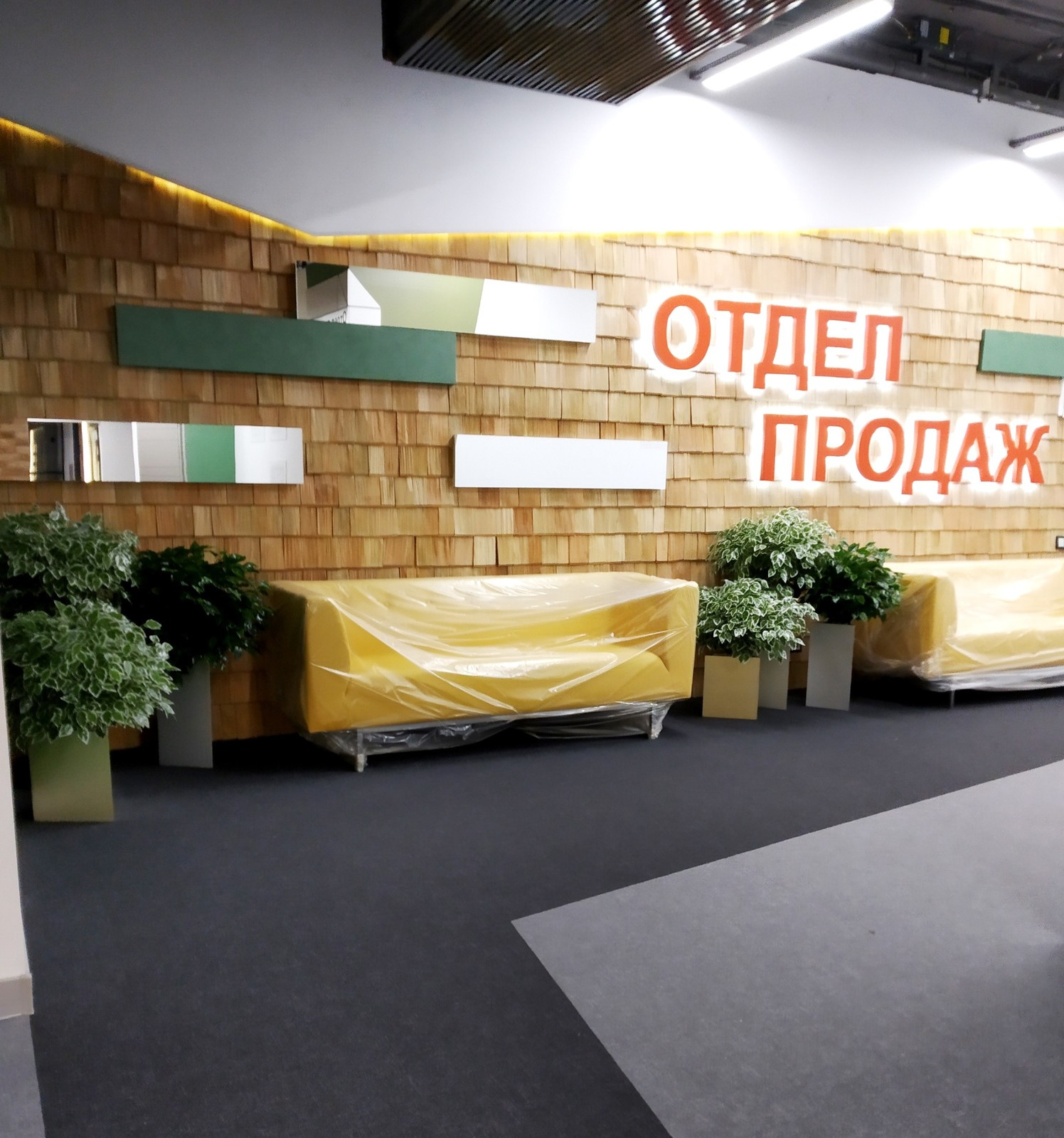 Фикусы в дизайнерских треугольных кашпо от студии Iren Lakusta. Showroom СК Арба