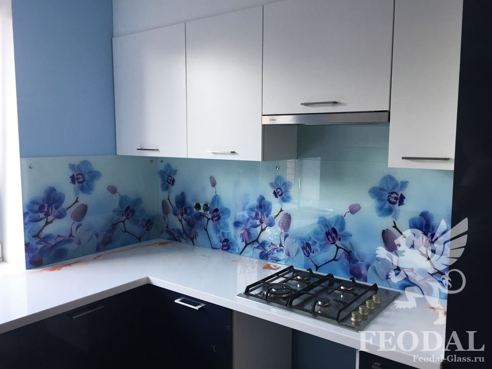 Стеклянные фартуки, скинали