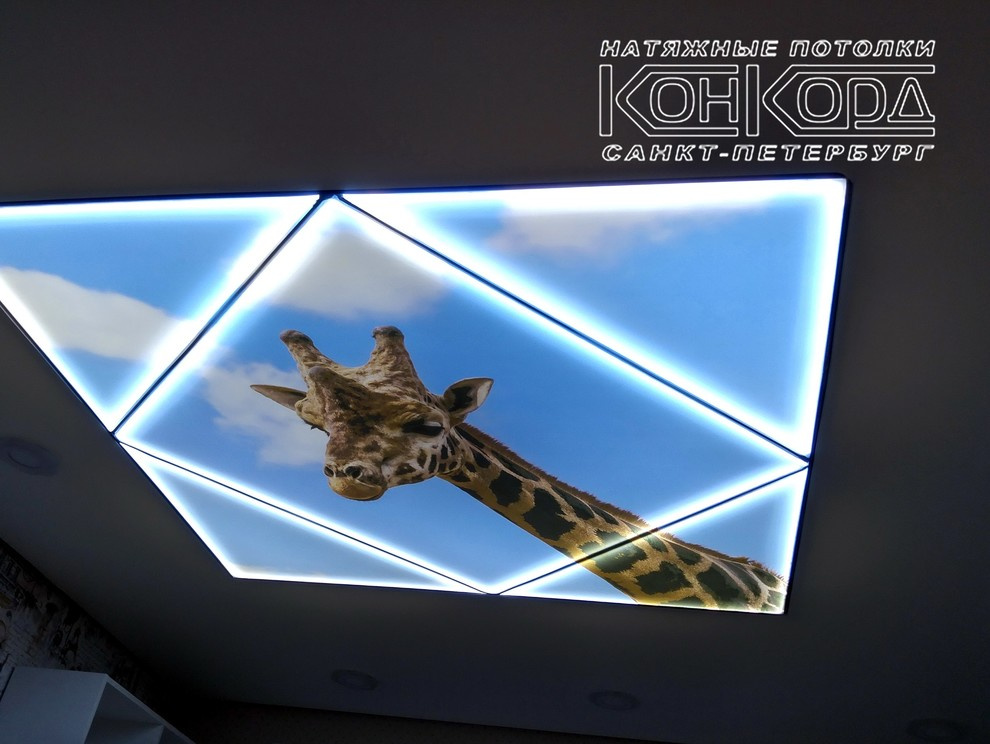 Обложка проекта: Фальш окно