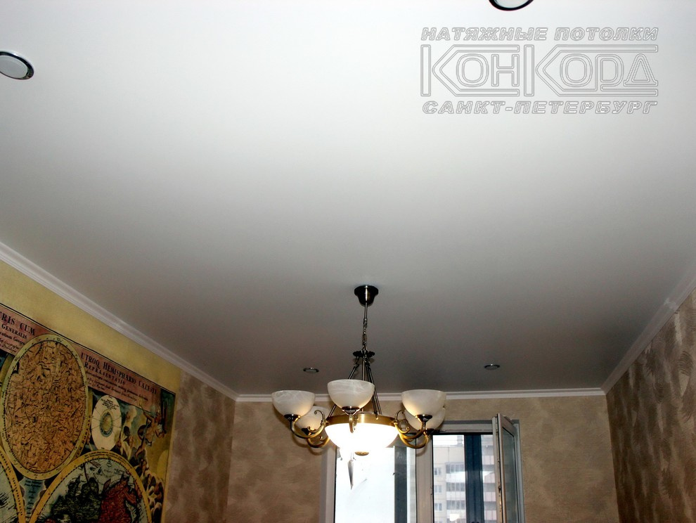 Матовые потолки