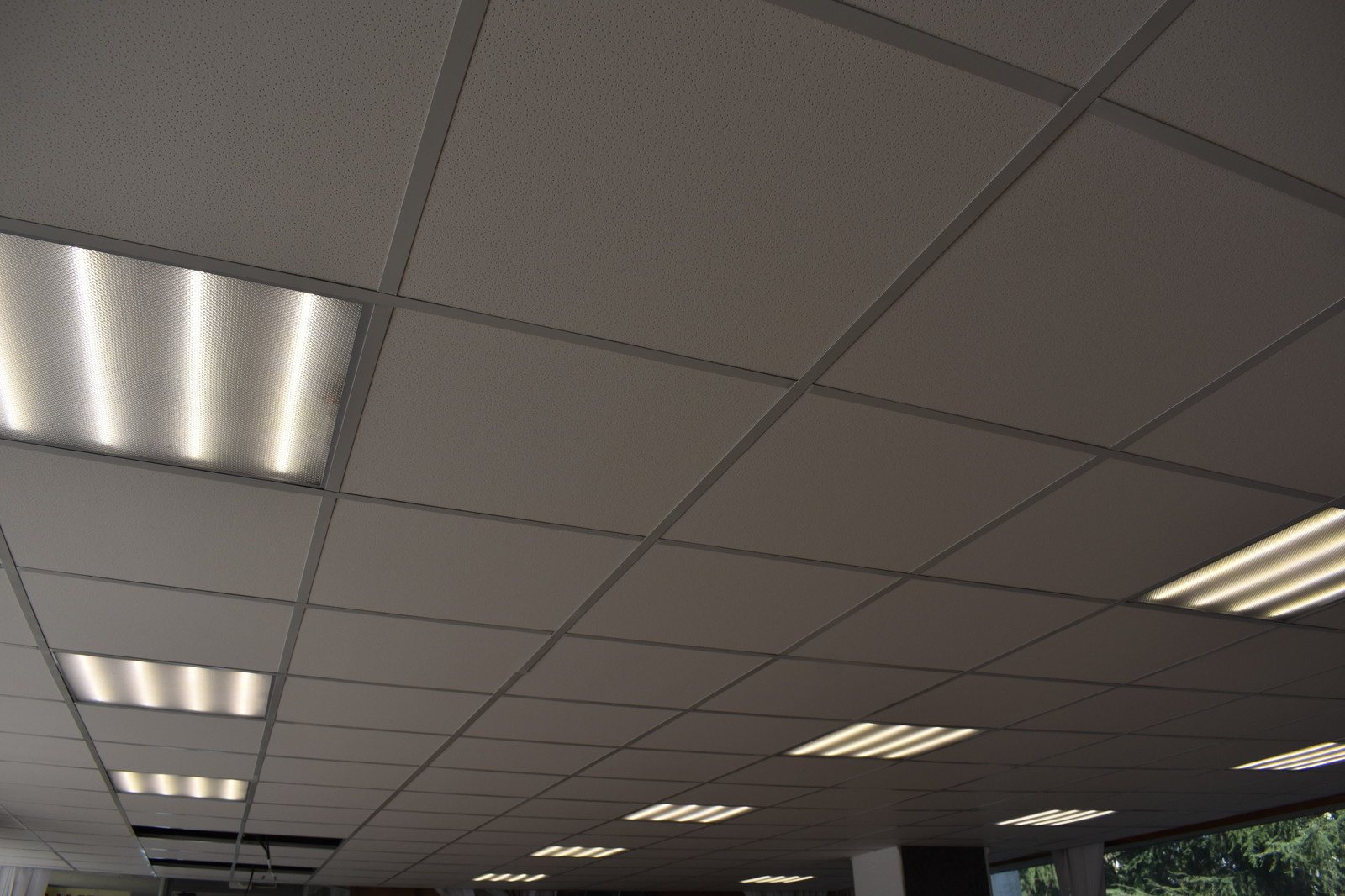 Сочинский государственный университет