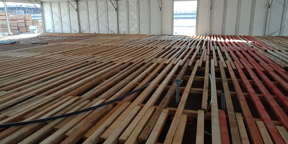 Обложка проекта: Формула 1 г. Сочи