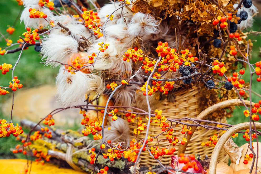 Хвойный переулок