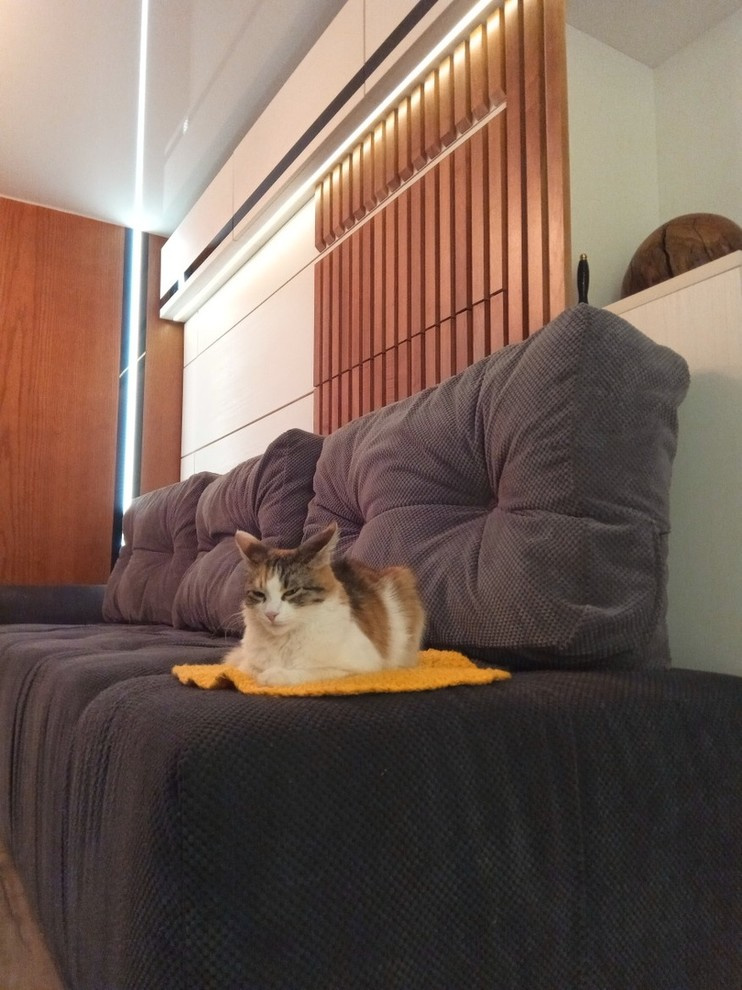 шкаф кровать с диваном и  декором из ясеня