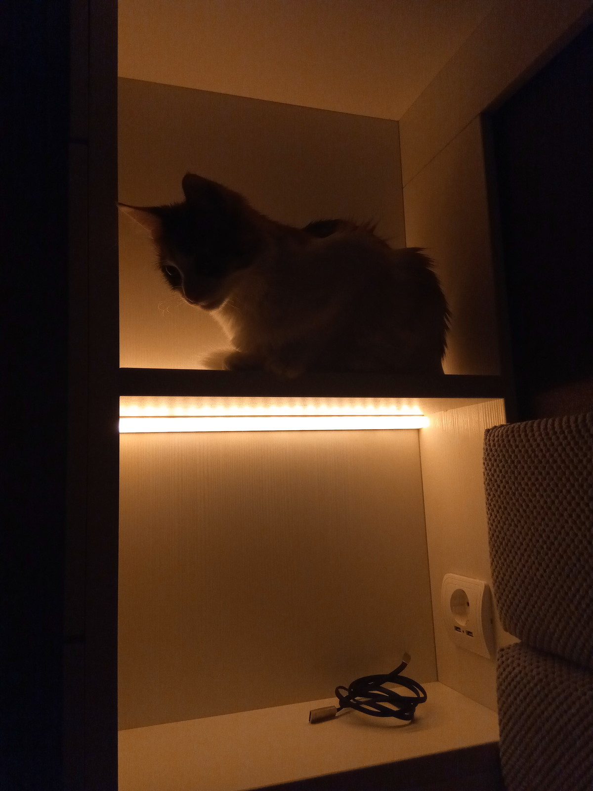 шкаф кровать с диваном и  декором из ясеня