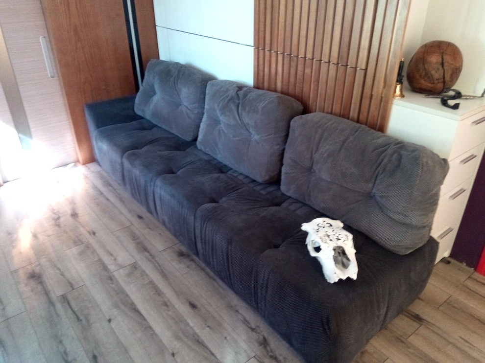 шкаф кровать с диваном и  декором из ясеня