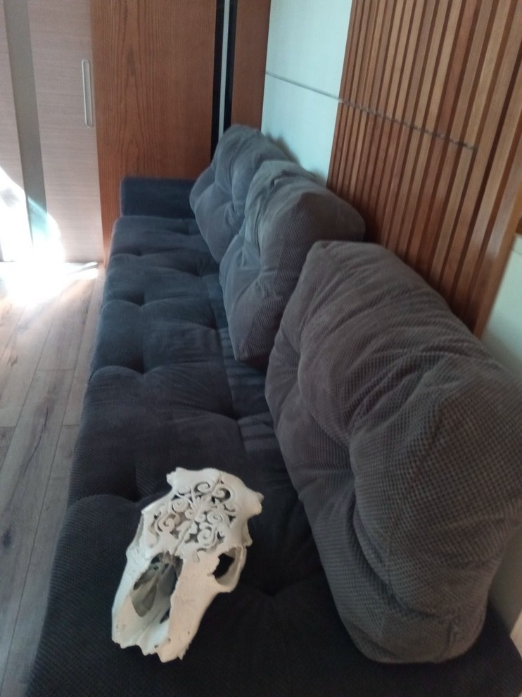 шкаф кровать с диваном и  декором из ясеня