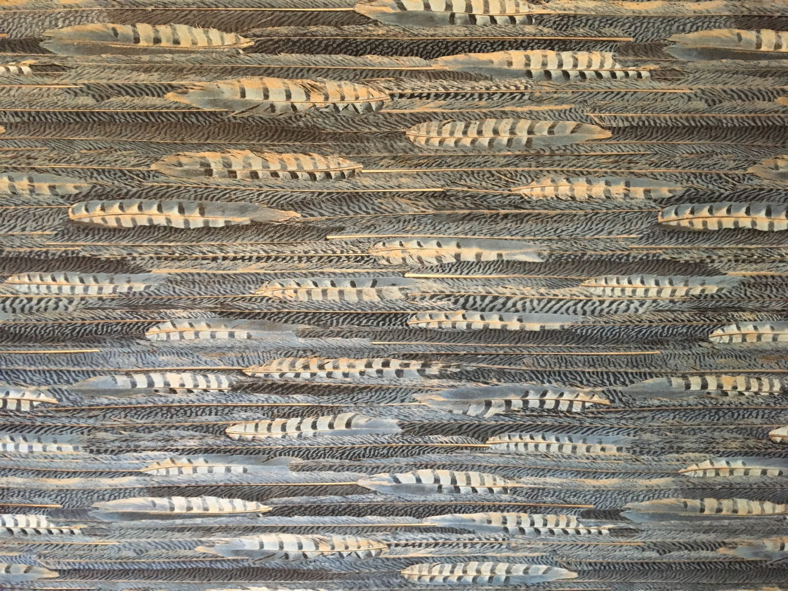 комната в квартире 5