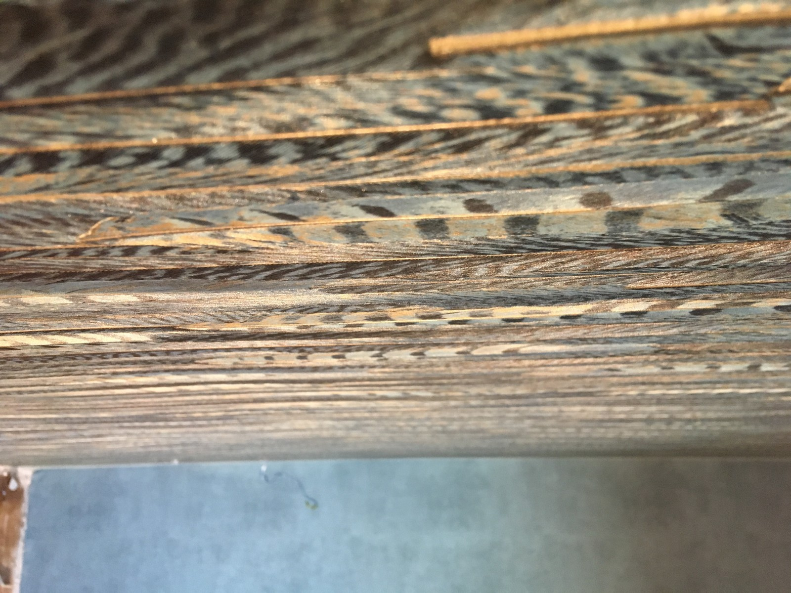 комната в квартире 5