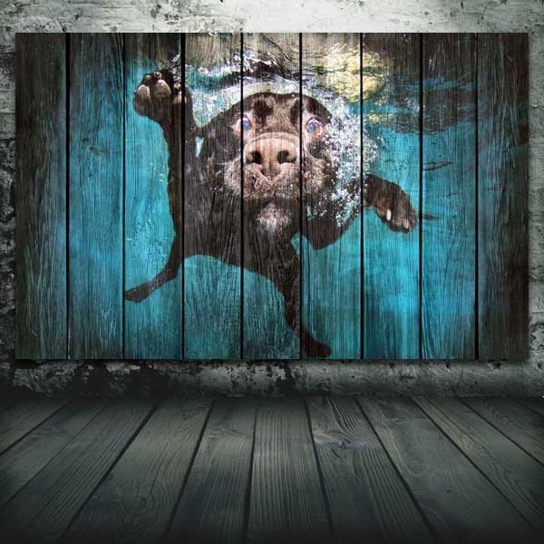 "Собака без акваланга"