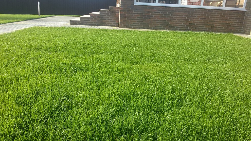 Благоустройство участка под ключ