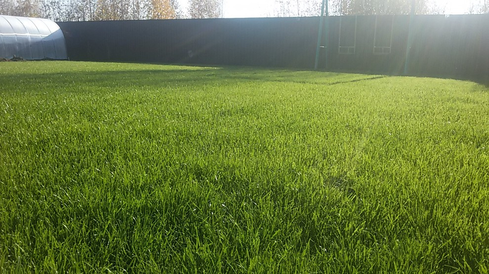 Благоустройство участка под ключ