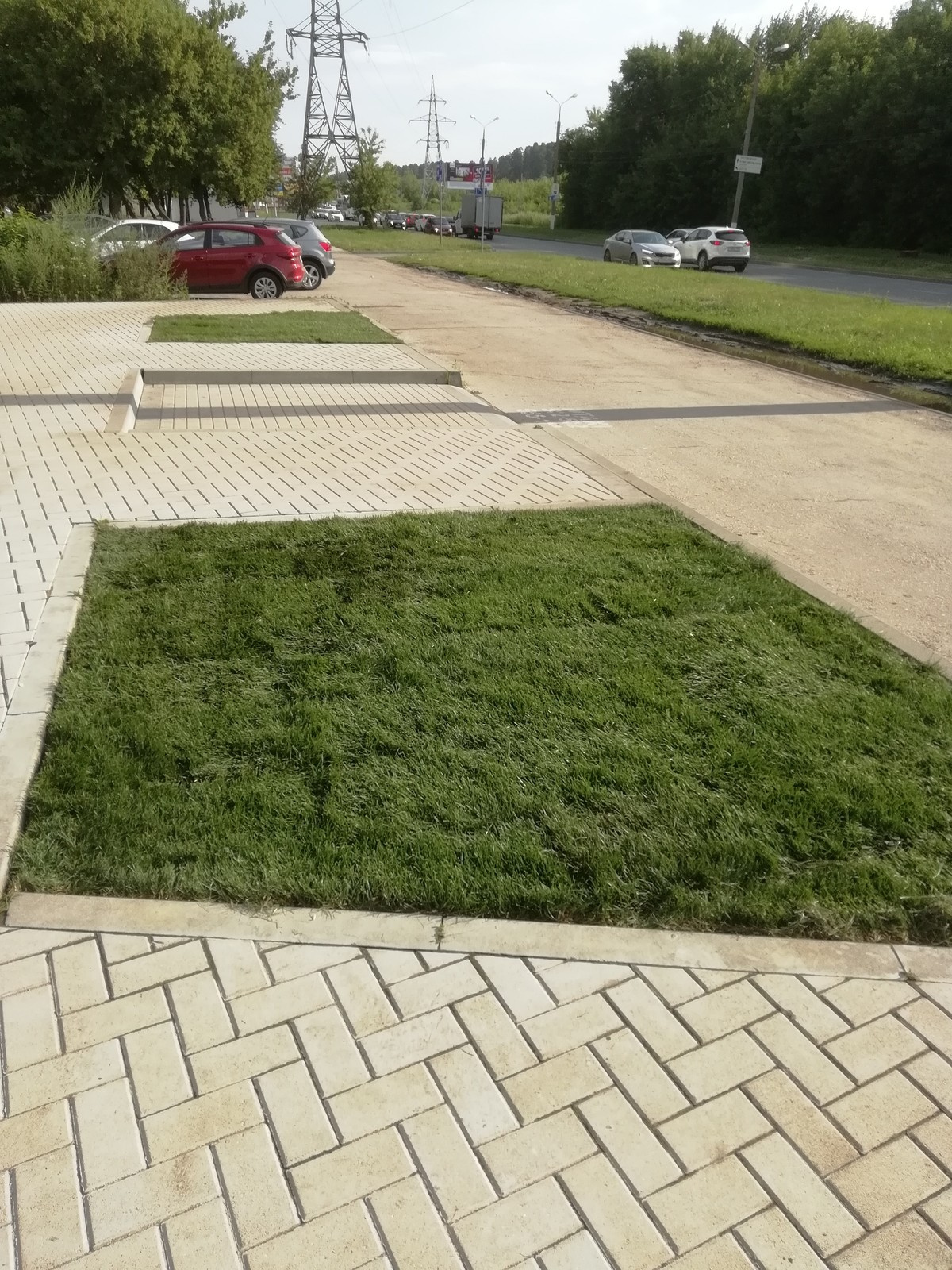 Укладка рулонного газона возле кафе-бистро ЛюБлины