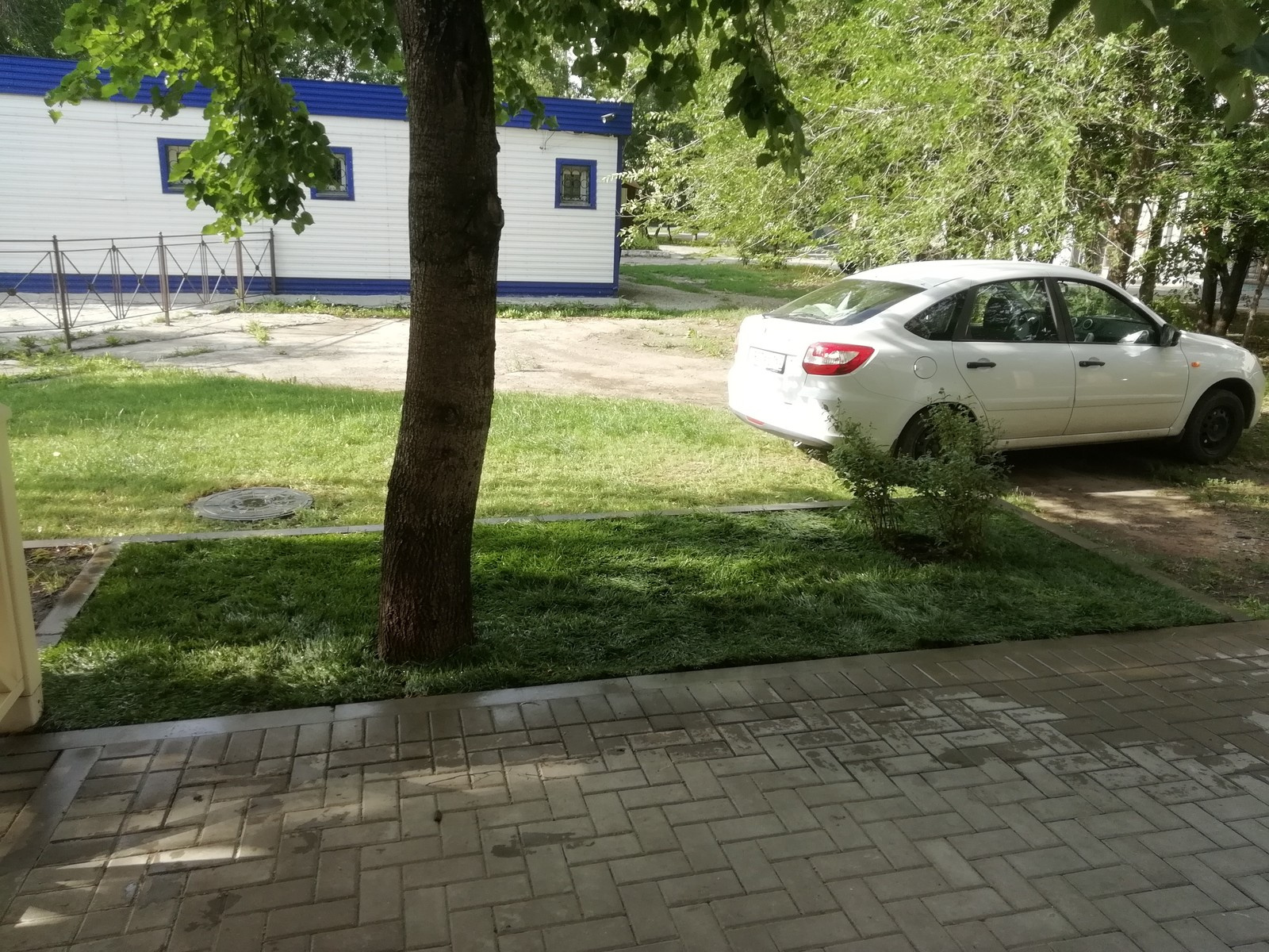 Укладка рулонного газона возле кафе-бистро ЛюБлины