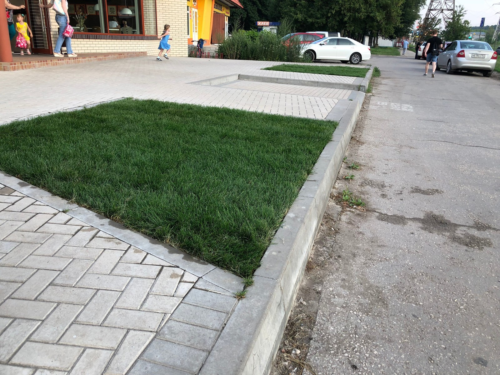 Обложка проекта: Кафе-бистро "ЛюБлины" - Укладка рулонного газона, г. Тольятти