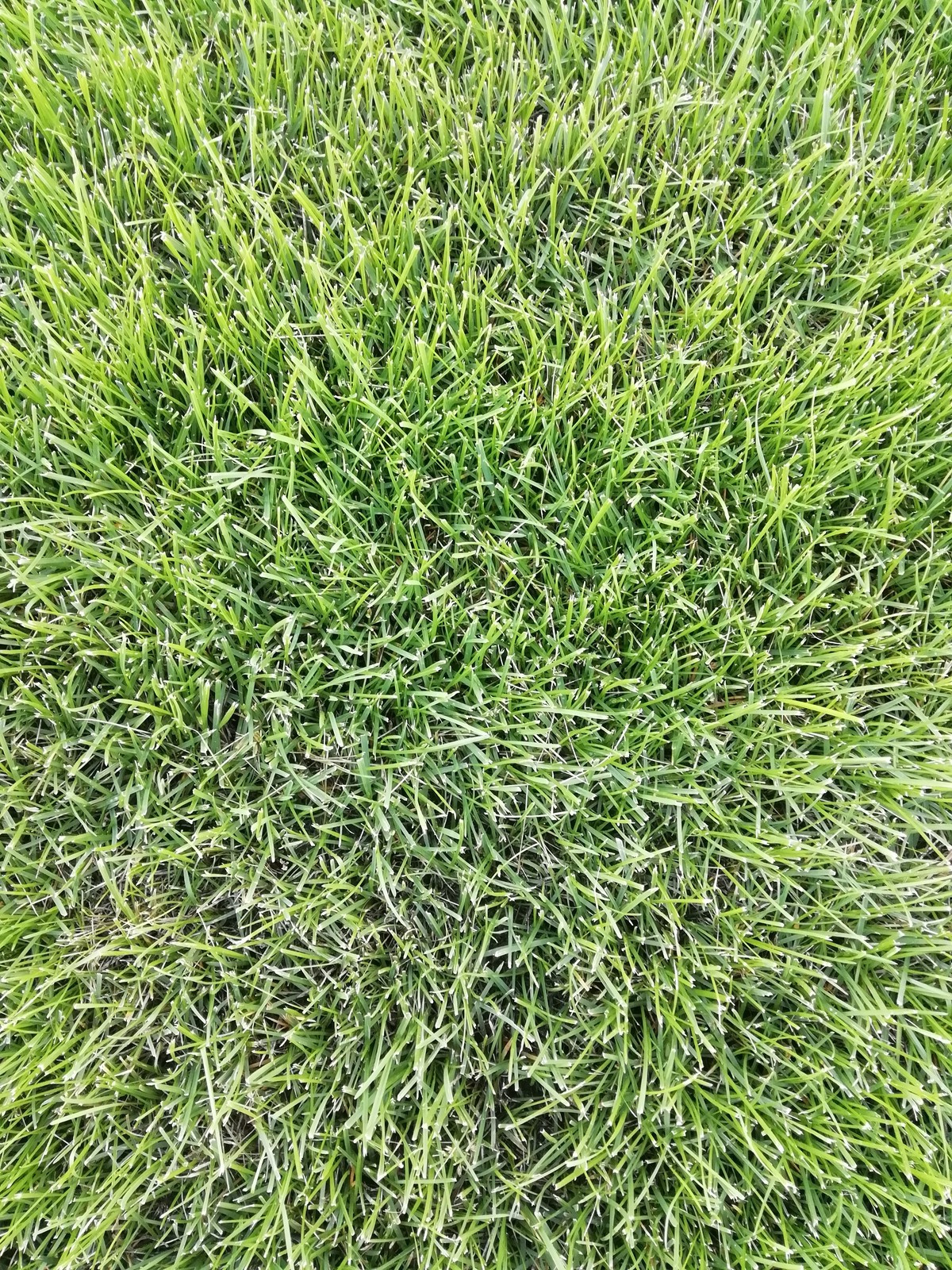 ЖК "Гринвуд"- Монтаж автоматической системы полива в г.Тольятти